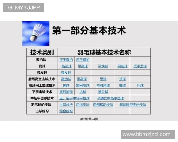 西安羽毛球队战术解析与其他球队的对比研究